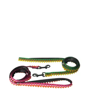Nylon dog leash Martin Sellier Dancing Queen image-0