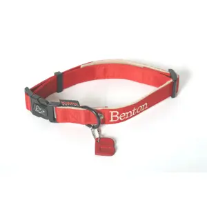 Dog collar Martin Sellier Benton image-0