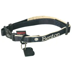 Dog collar Martin Sellier Benton image-0
