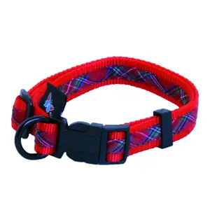 Adjustable Dog Collar Martin Sellier Benton image-0