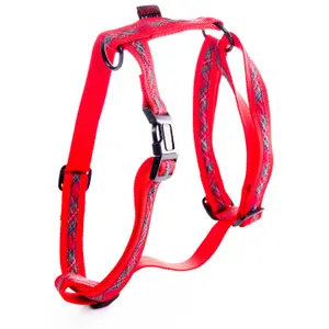Dog harness Martin Sellier Benton image-0