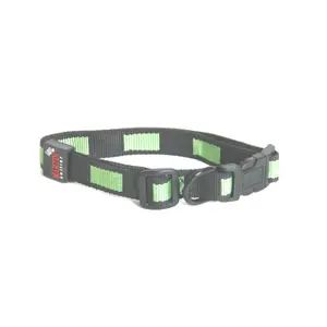 Dog collar Martin Sellier Matrix image-0