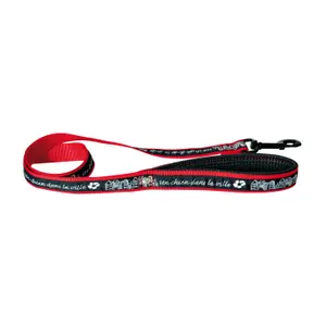 Nylon dog leash Martin Sellier Dog City image-0