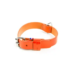 Leather dog collar Martin Sellier image-0
