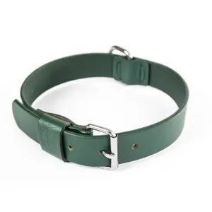 Dog collar Martin Sellier Bords image-0