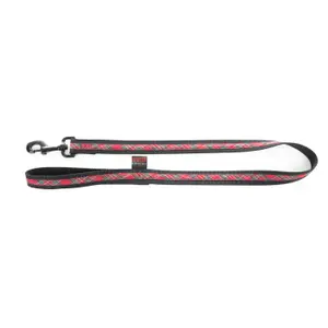 Nylon dog leash Martin Sellier Benton image-0