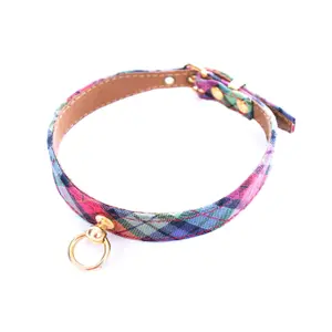 Dog collar Martin Sellier image-0