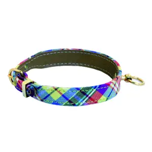 Dog collar Martin Sellier Terrier Benton image-0