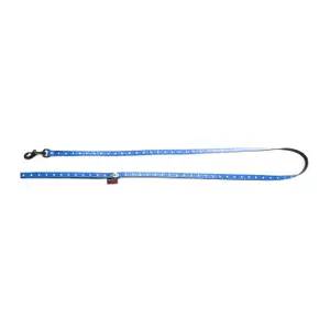 Dog leash Martin Sellier Beach image-0