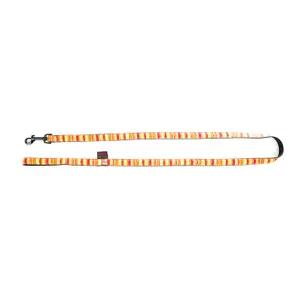 Dog leash Martin Sellier Beach image-0
