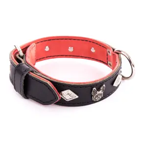 Dog collar Martin Sellier BDG image-0