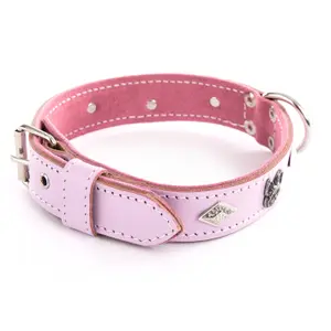 Dog collar Martin Sellier BDG image-0