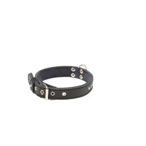 Dog collar Martin Sellier Class image-0