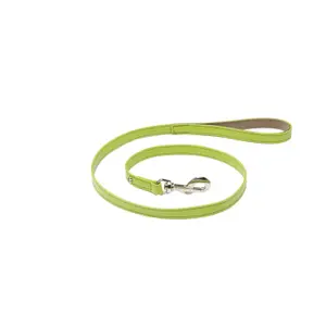 Citadine Leather Dog Leash Martin Sellier M image-0