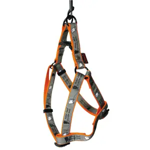 Dog harness Martin Sellier Marcel image-0