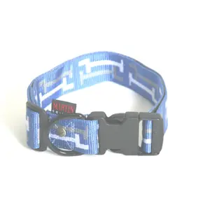 Dog collar Martin Sellier Clepsy image-0