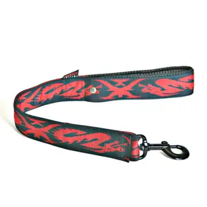 Double dog leash Martin Sellier Dragon image-0