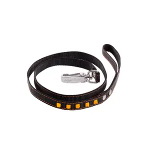 Dog leash Martin Sellier Fluo image-0