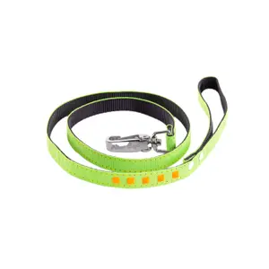 Dog leash Martin Sellier Fluo image-0