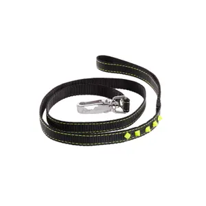 Dog leash Martin Sellier Fluo image-0
