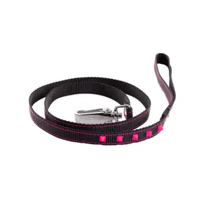 Dog leash Martin Sellier Fluo image-0