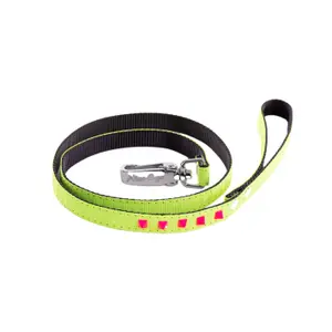 Dog leash Martin Sellier Fluo image-0