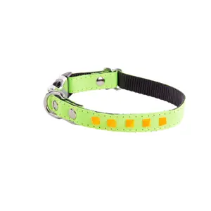 Dog collar Martin Sellier Fluo image-0