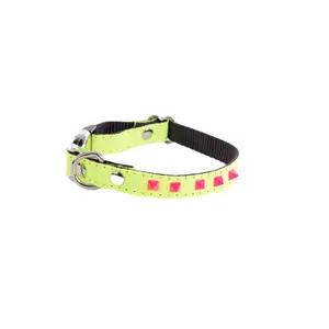 Dog collar Martin Sellier Fluo image-0
