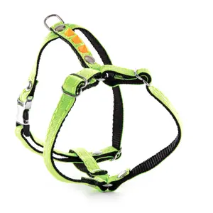 Fluorescent Dog Harness Martin Sellier image-0