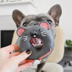 Dog toy Martin Sellier Brie image-1