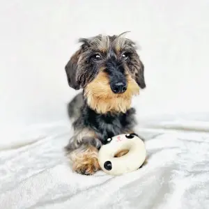 Dog toy Martin Sellier image-2