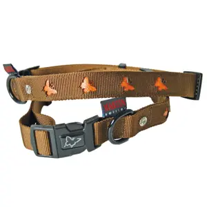 Dog collar Martin Sellier Papillon image-0