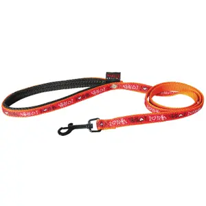 Nylon dog leash Martin Sellier I love Pets image-0