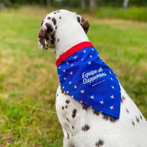 Dog bandana Martin Sellier Supporters image-2