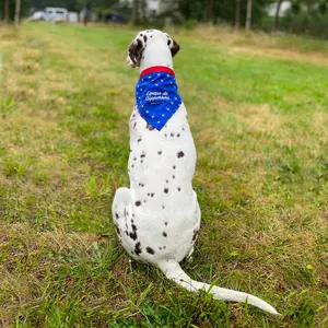 Dog bandana Martin Sellier Supporters image-3
