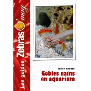 Dwarf Gobies in Aquarium Martin Sellier image-0