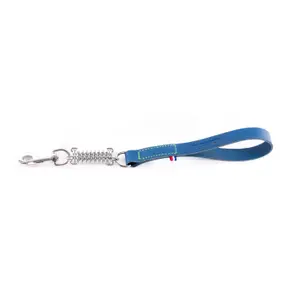 Leather dog leash Martin Sellier Amor image-0