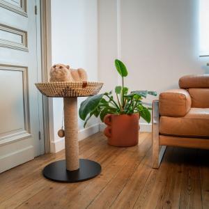 Kratzbaum Martin Sellier Corbeille Etoile image-2