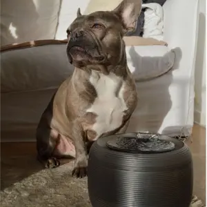 Pet fountain filter Martin Sellier image-4