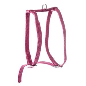 Nylon kattesele Martin Sellier Tub image-0