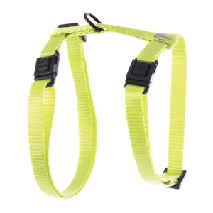 Klassisk nylon sele til kat Martin Sellier image-0