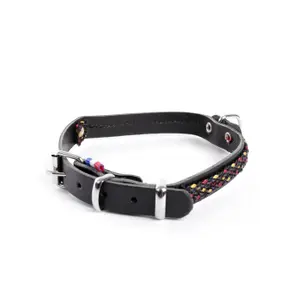 Leather dog collar Martin Sellier Colorado image-1