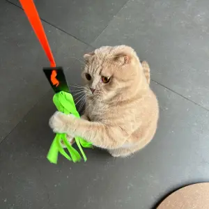 Jouet pour chat la fusée Martin Sellier image-2