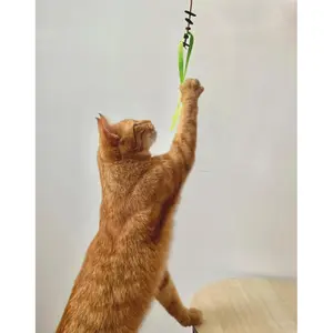 Juguete múltiple para gatos Martin Sellier image-2