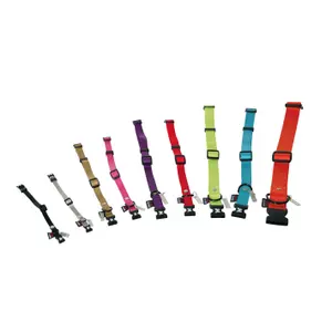 Verstellbares Nylon-Halsband für Hunde Martin Sellier image-1