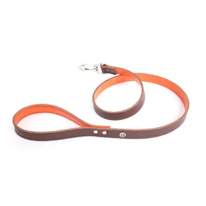 Laisse pour chien Martin Sellier Allure T100 image-0