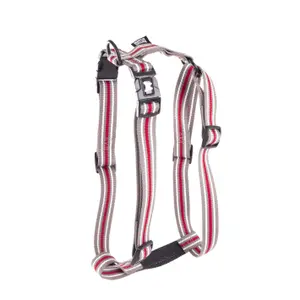 Harnais pour chien trio classic nylon Martin Sellier XS image-0