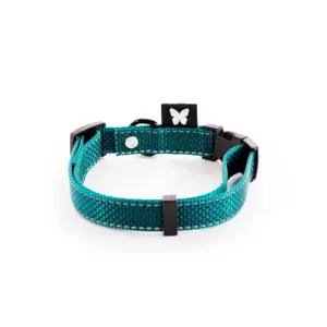 Verstellbares Nylon-Hundehalsband Martin Sellier M image-1