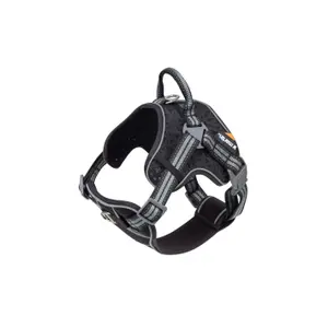 Hundsele Martin Sellier