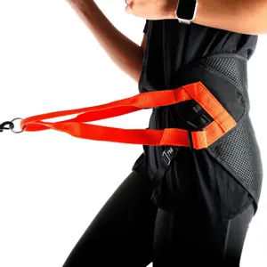 Baudrier pour chien Martin Sellier image-4